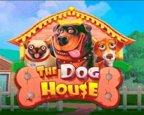 play the dog house in pistolocasino